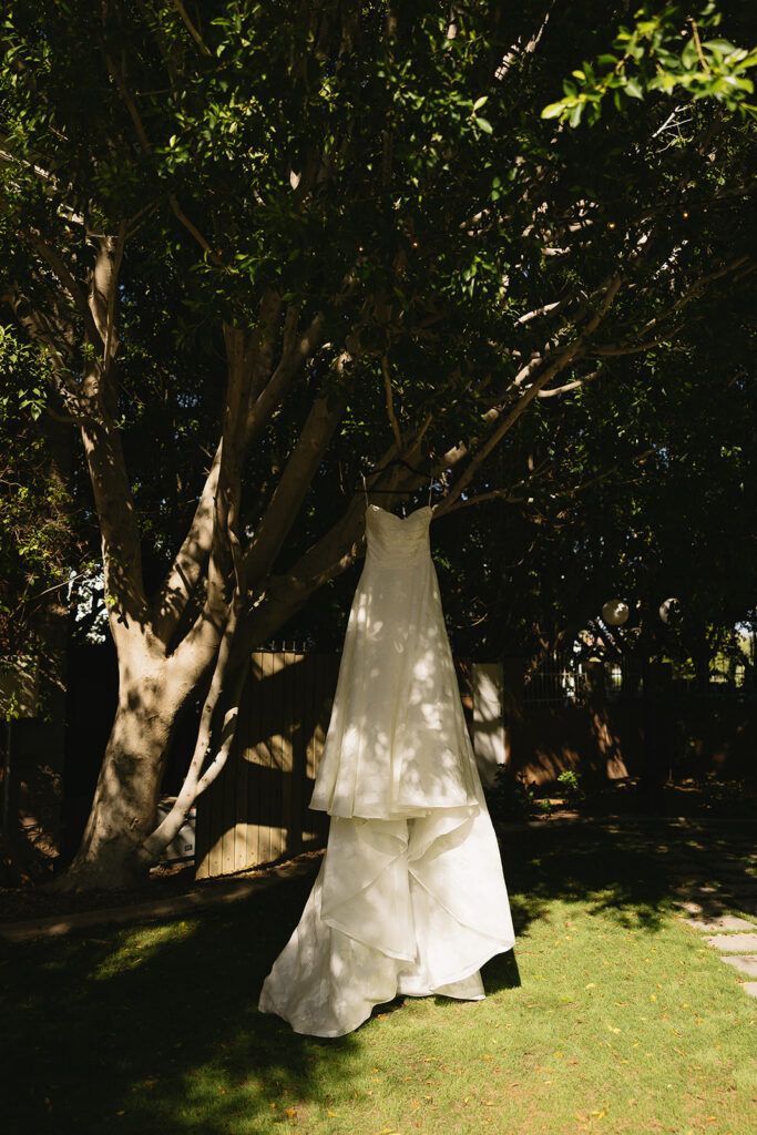 wedding dress hanging from tree