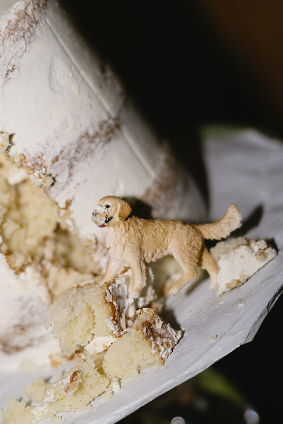 A Spruce Mountain Ranch Wedding With Rustic Charm and Timeless Elegance